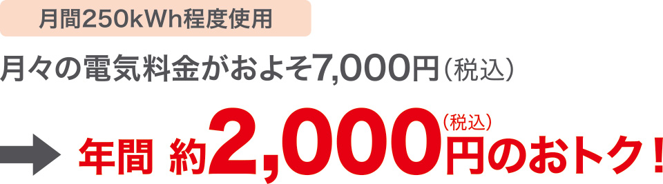 年間2,000円のおトク！